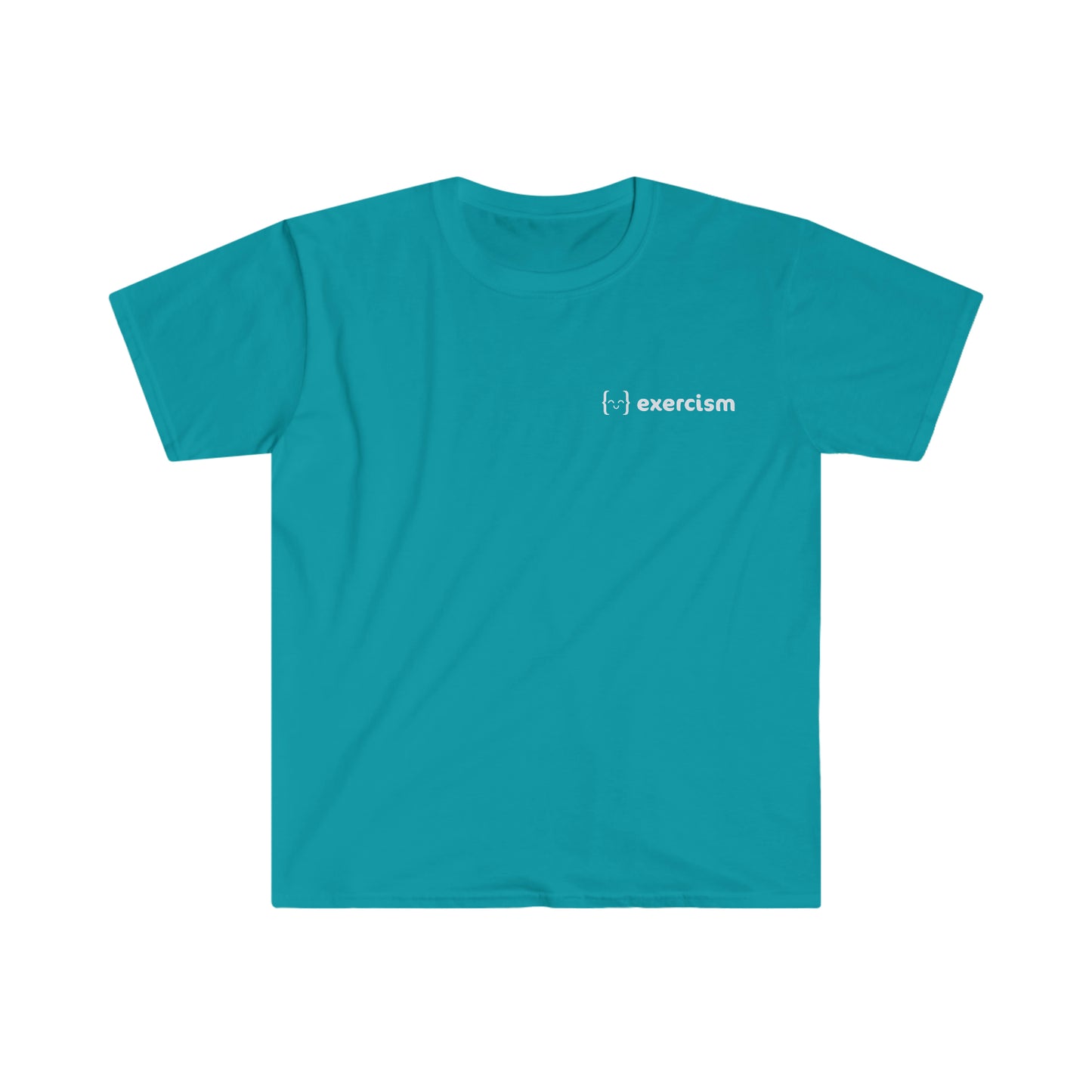 Unisex T-shirt - dsyFunctional February - LOGO BACK - Dark